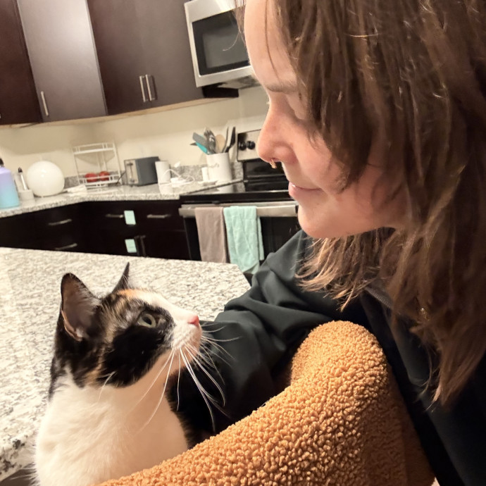 Ampurr Cat Care