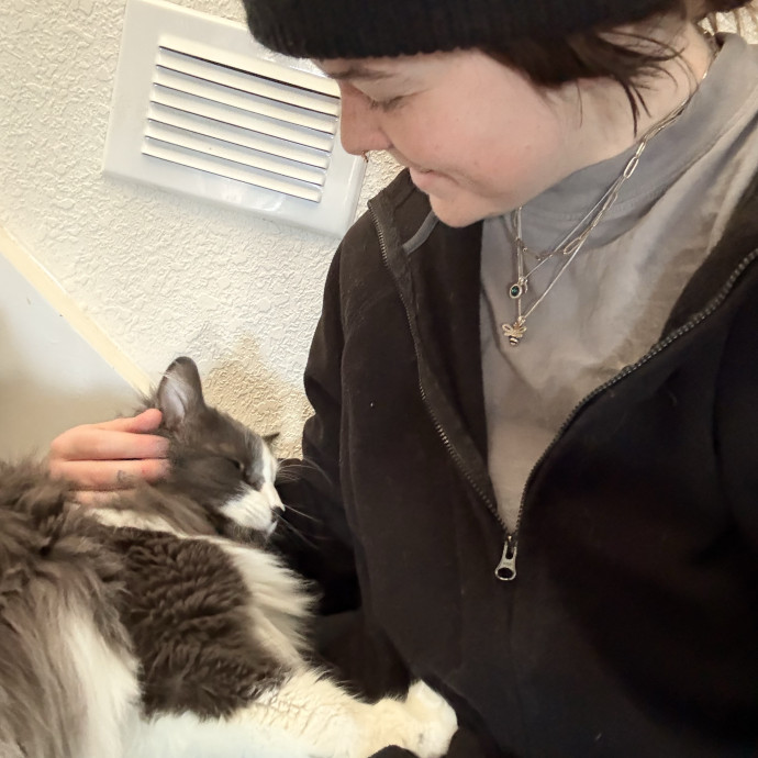 Ampurr Cat Care