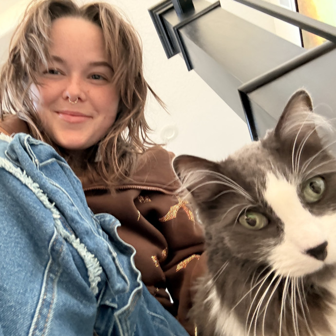 Ampurr Cat Care photo 3