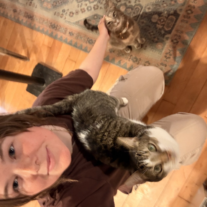 Ampurr Cat Care photo 2