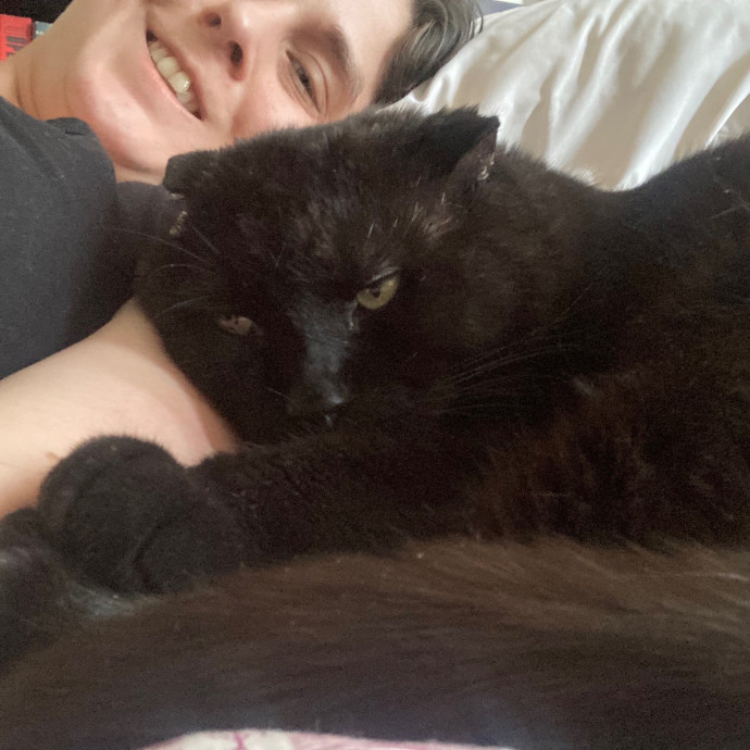 Kitty Comforts
