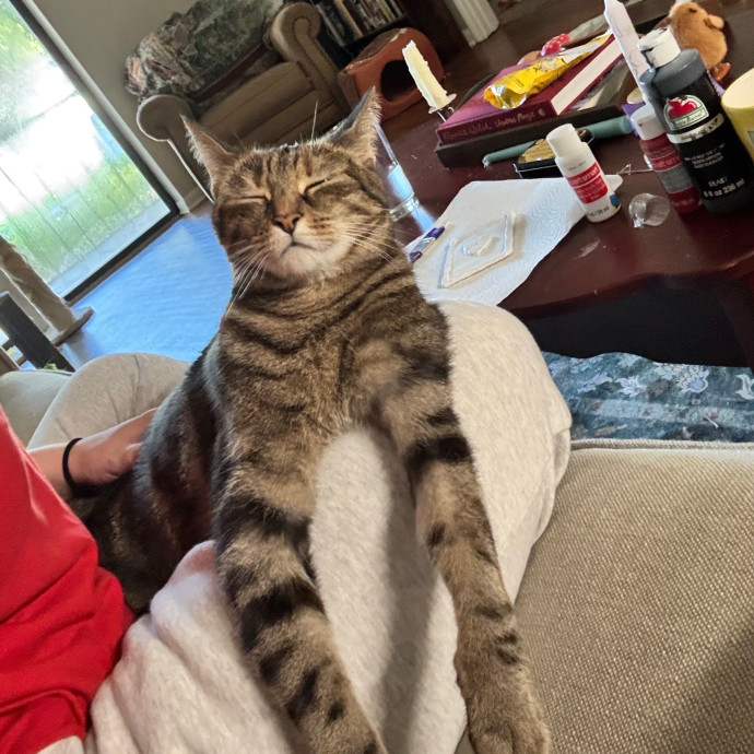 A Loving Detail-Oriented Cat Sitter