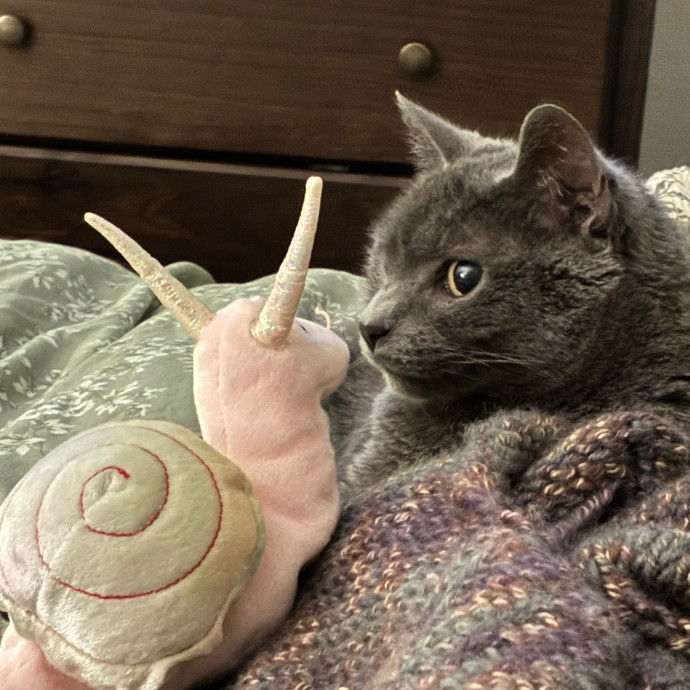 A Loving Detail-Oriented Cat Sitter