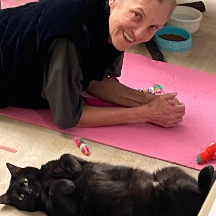 I'll Take Care Of Your Cat photo 2