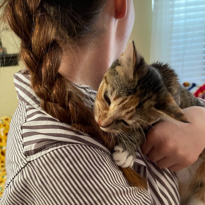 Reliable Loving Cat-Sitter
