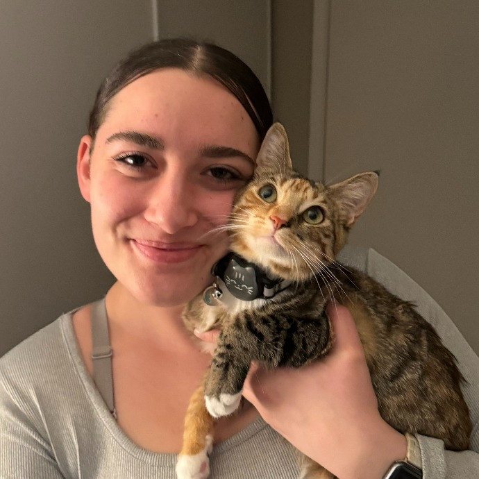 Reliable Loving Cat-Sitter