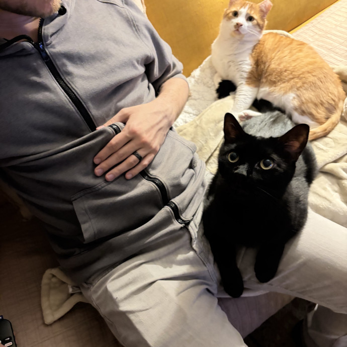 Compassionate Experienced Cat Specialist