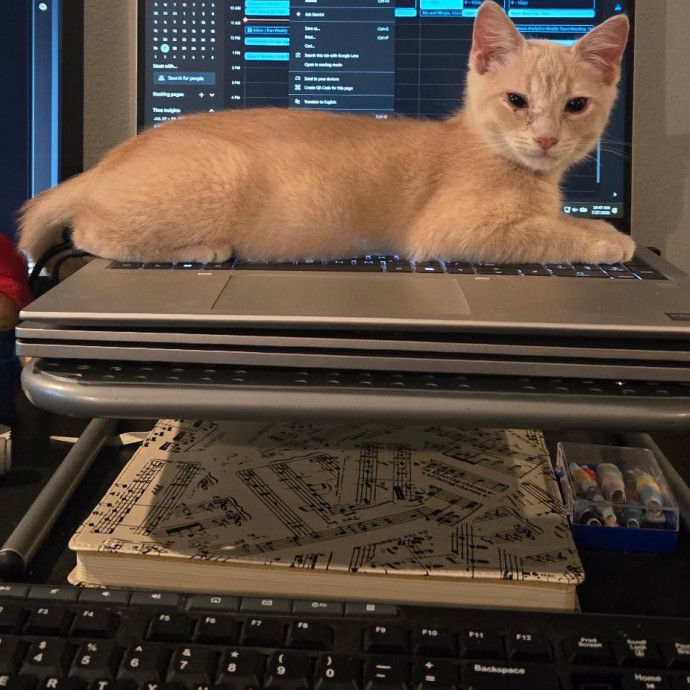 Compassionate Experienced Cat Specialist