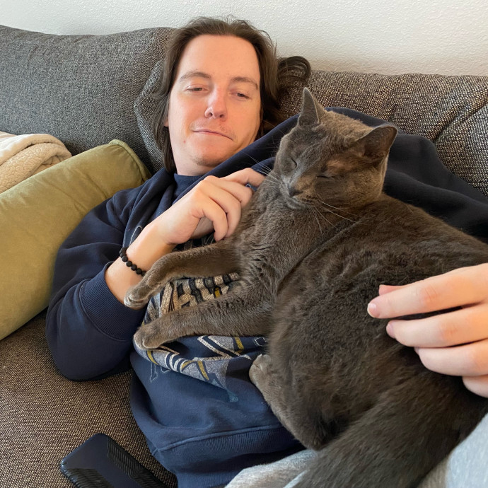 Kennedy's Kitties