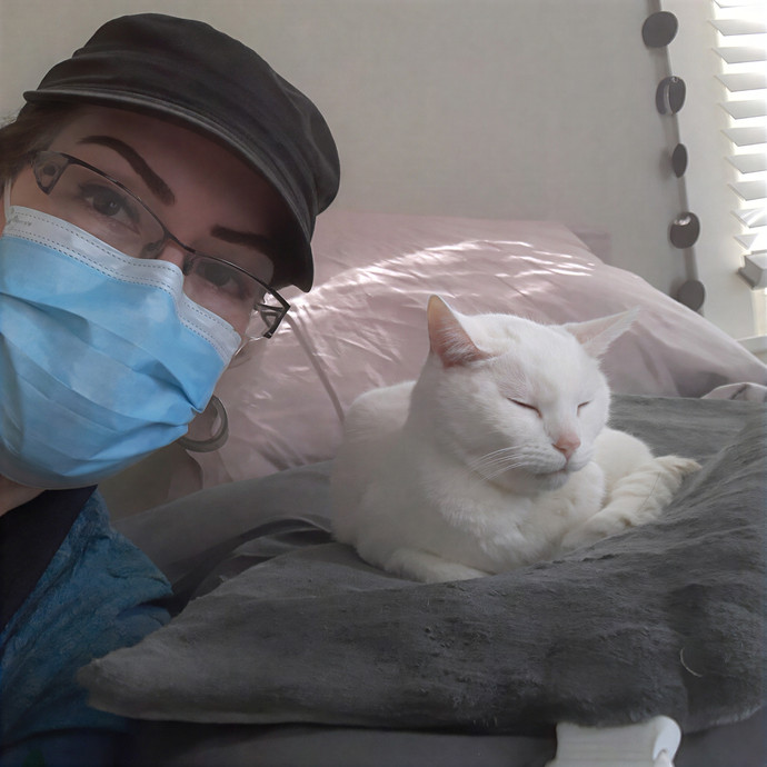 The Cat Purrfessor