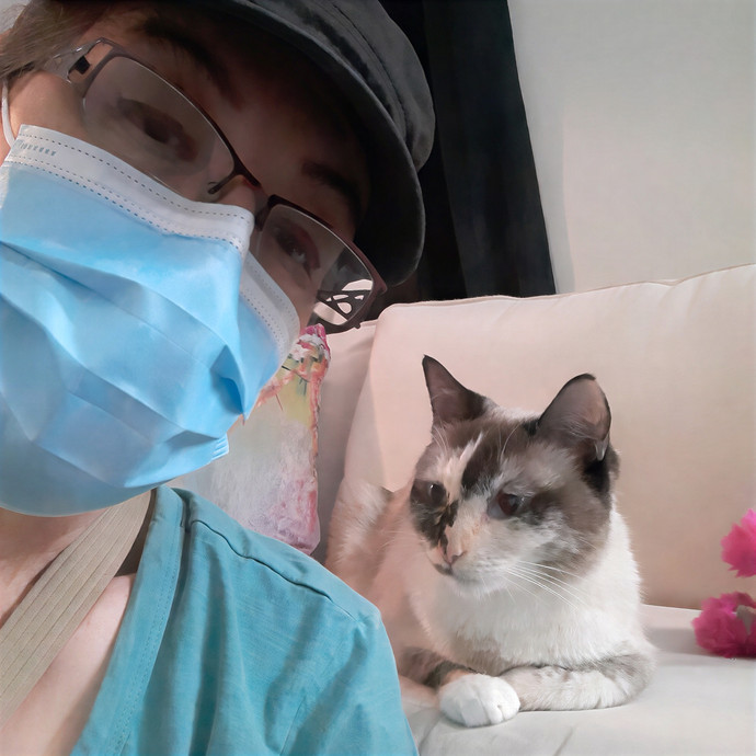 The Cat Purrfessor
