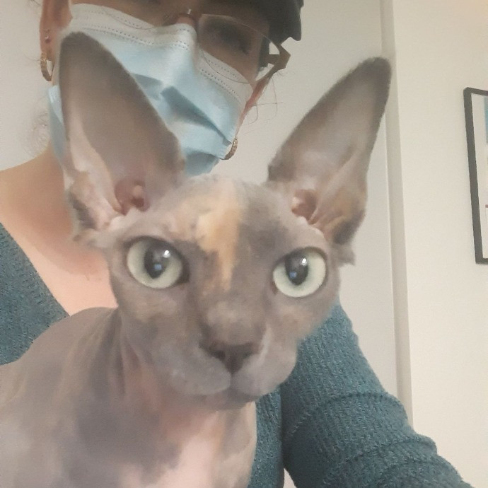 The Cat Purrfessor
