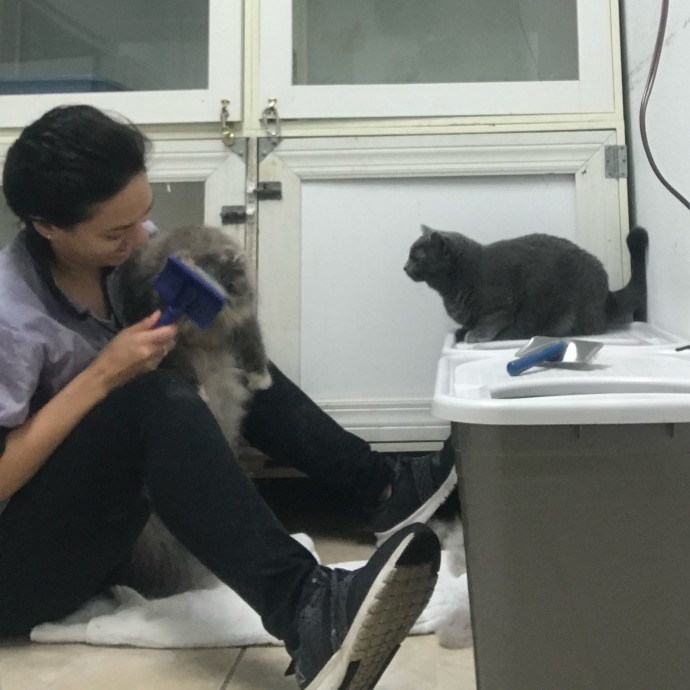 Cat Lover In Portland Or