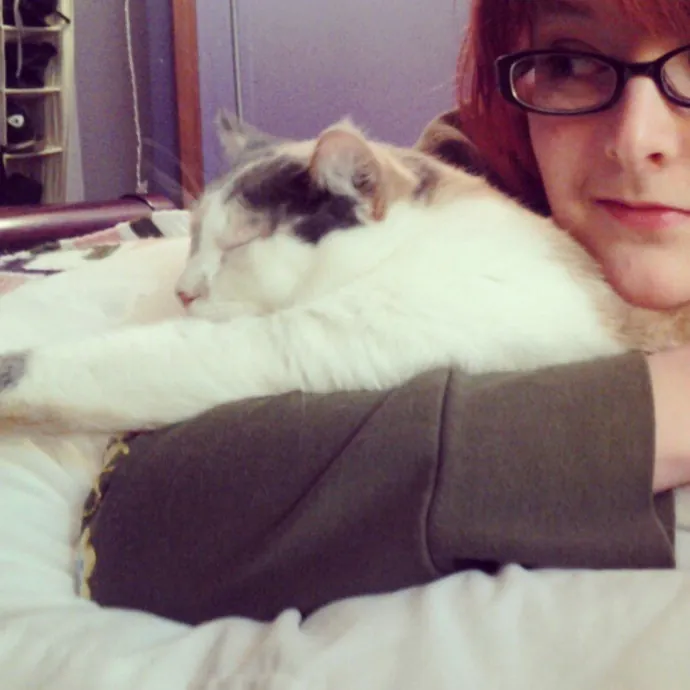 Care From A Lifelong Cat Lady