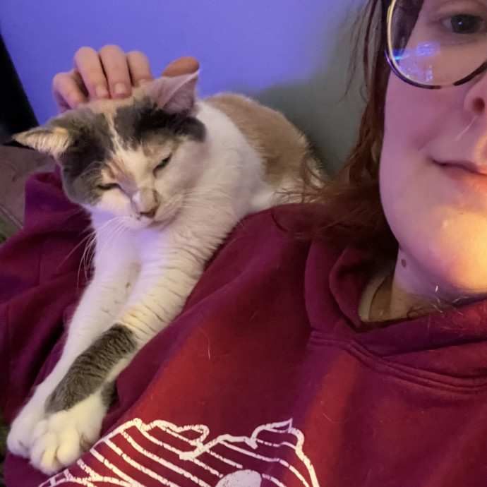 Care From A Lifelong Cat Lady