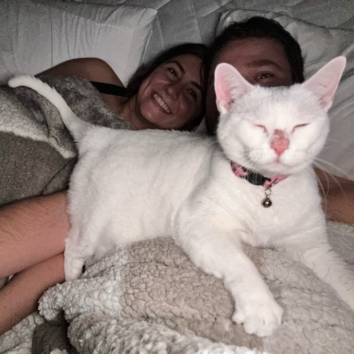 Loving Cat Sitter Wmedication Exp