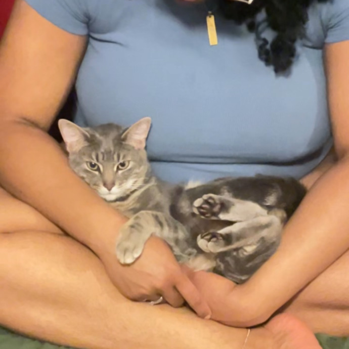 The Pet Auntie