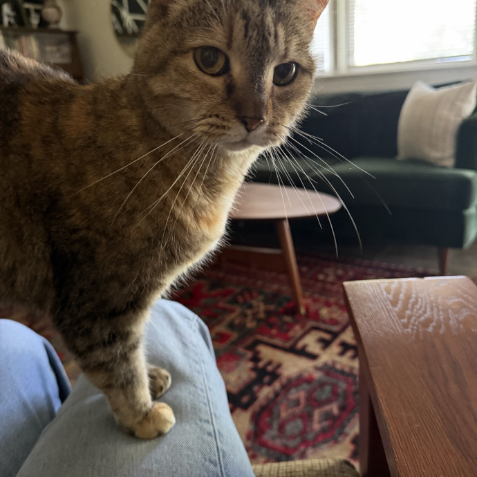 Safe And Loved While You're Away