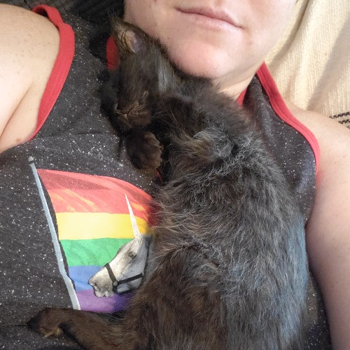 Fear Free Certified Petsitter Austin Tx