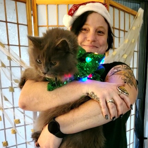 Fear Free Certified Petsitter Austin Tx photo 3