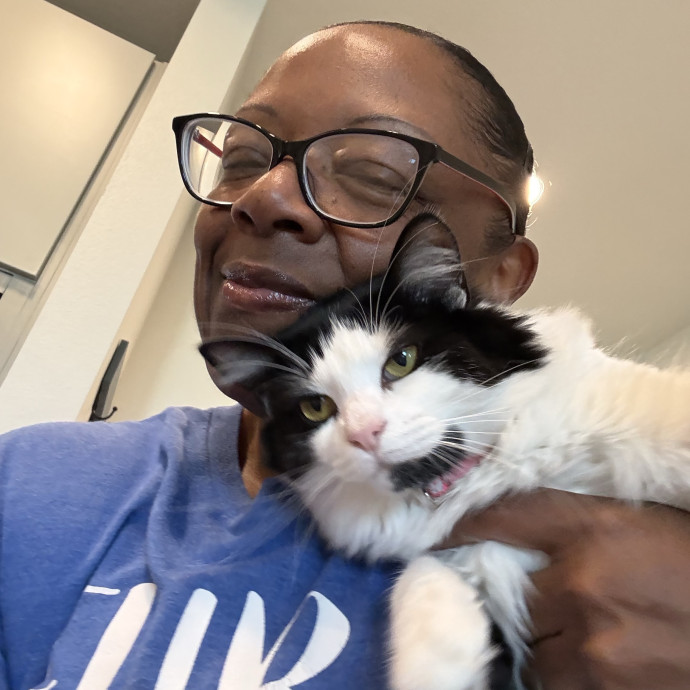 Professional Cat Care You Can Trust