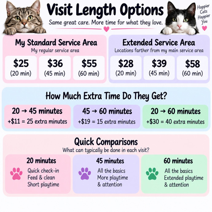 Professional Cat Care You Can Trust photo 2