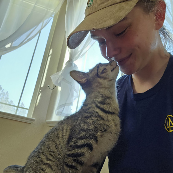 Meowdy
