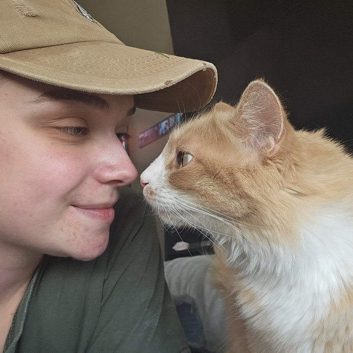 Meowdy