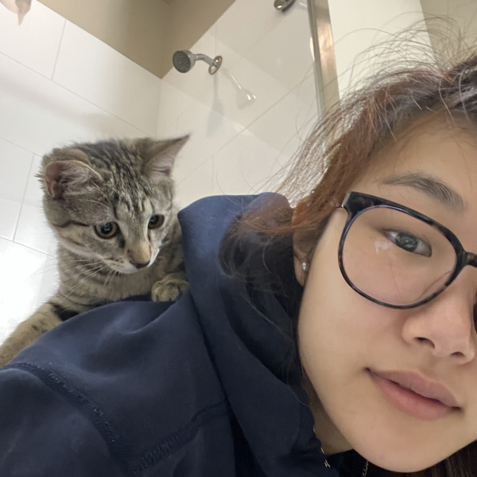 Reliable Cat Mom
