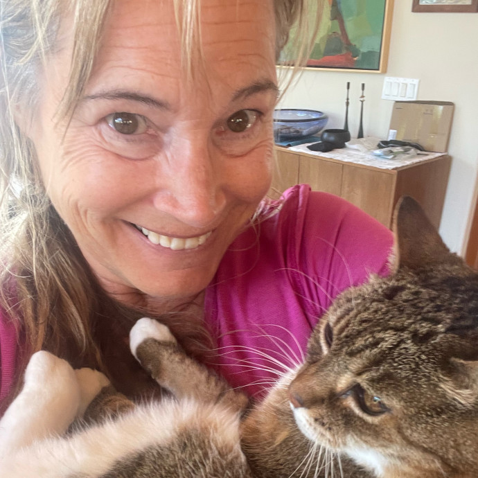 I Luv Cats And They Luv Me For 40 Years