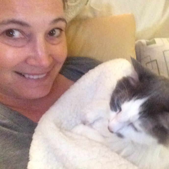I Luv Cats And They Luv Me For 40 Years