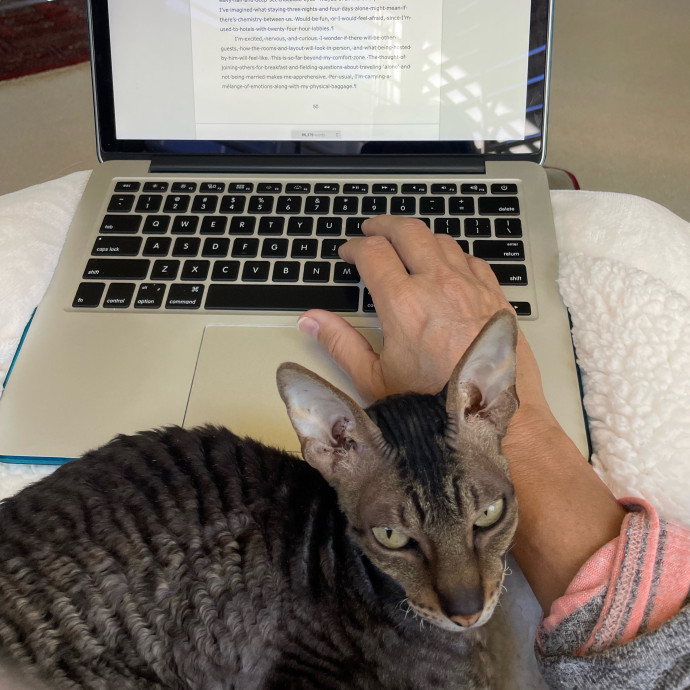 I Luv Cats And They Luv Me For 40 Years