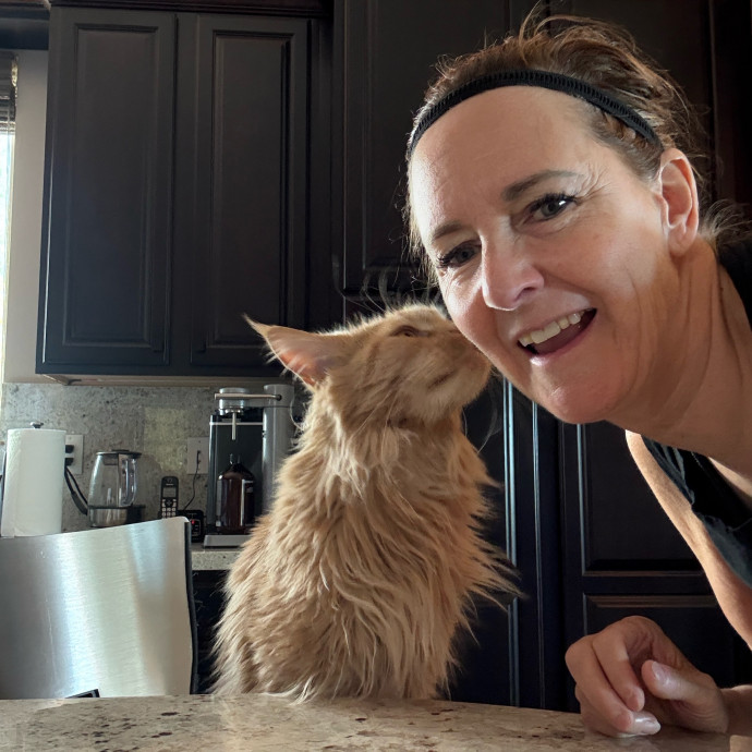 Cat Concierge