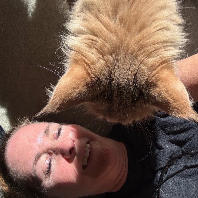 Cat Concierge