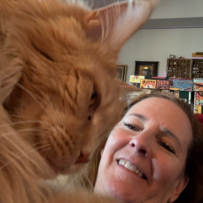 Cat Concierge