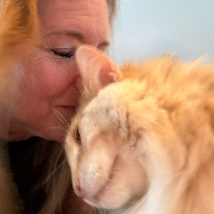 Cat Concierge