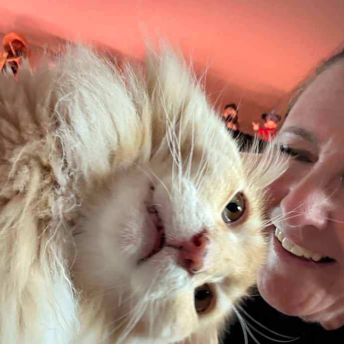 Cat Concierge