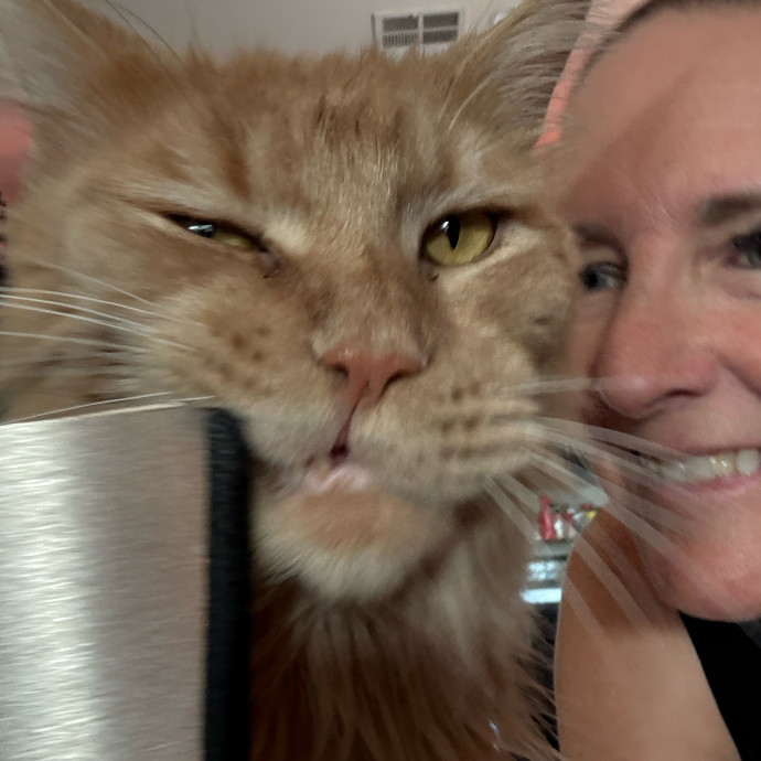 Cat Concierge