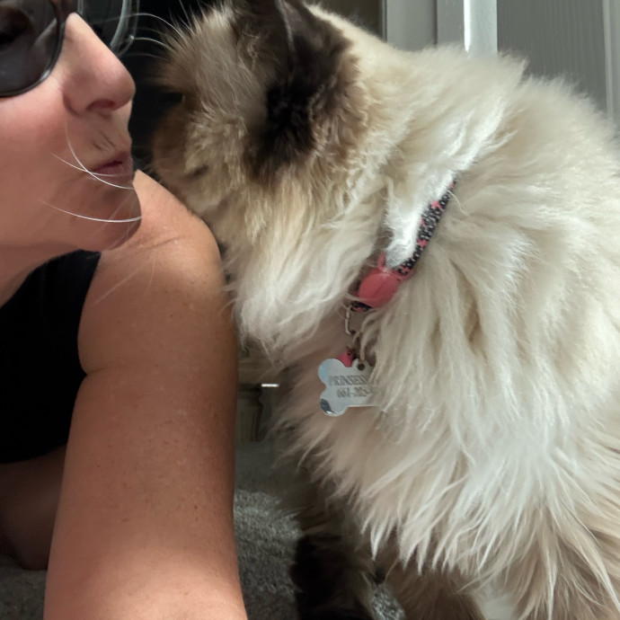 Cat Concierge