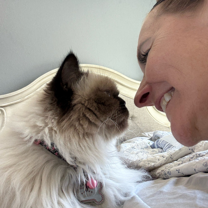 Cat Concierge