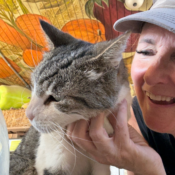 Cat Concierge