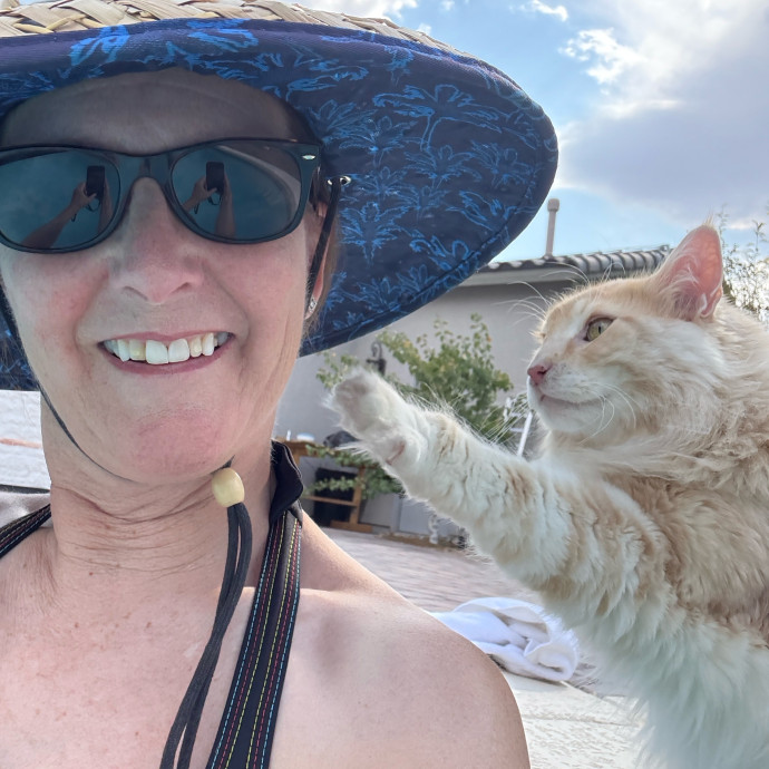 Cat Concierge