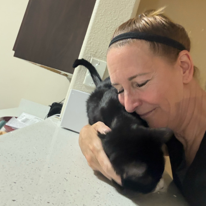 Cat Concierge