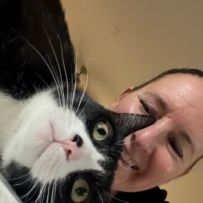 Cat Concierge