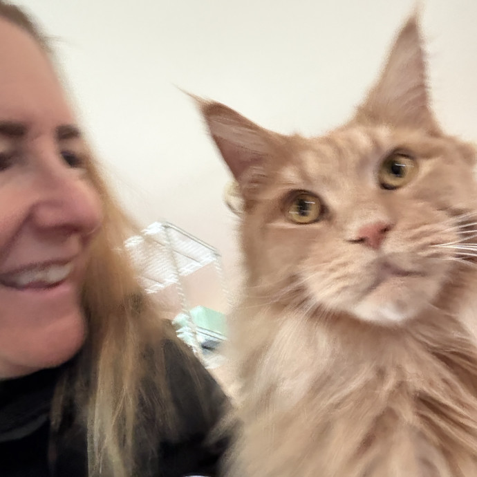Cat Concierge