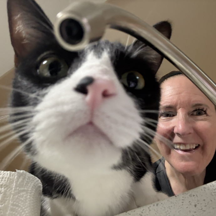 Cat Concierge photo 3