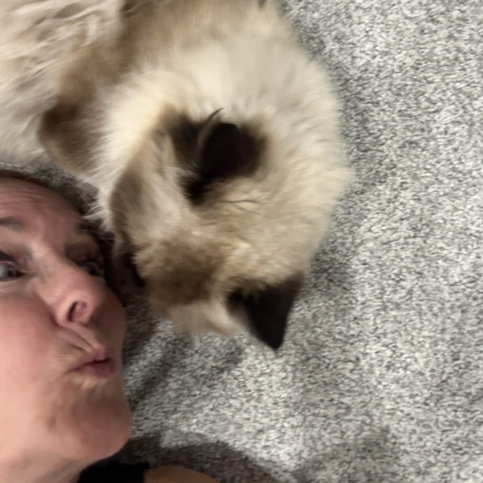 Cat Concierge photo 2