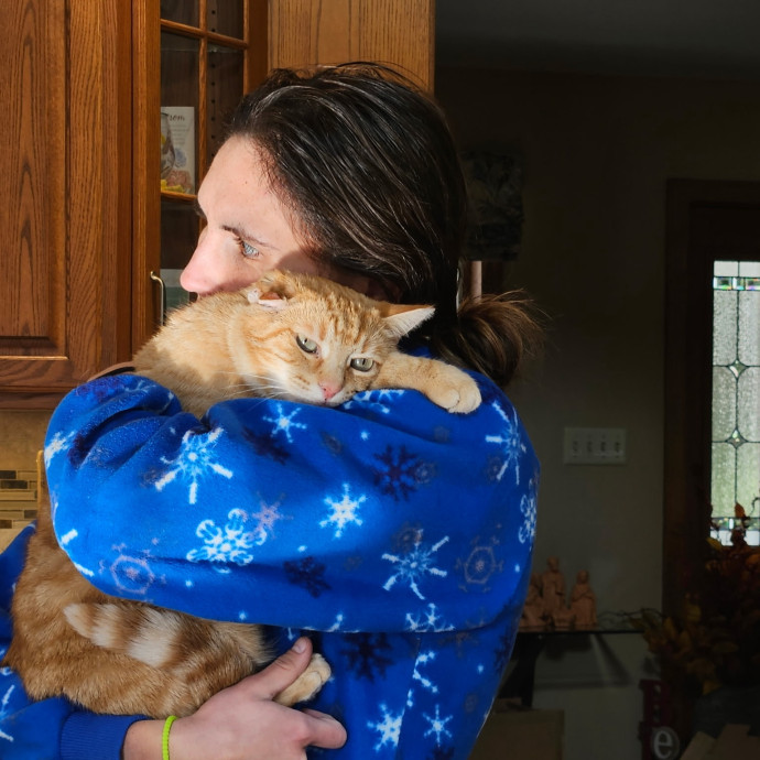 Veterinary Professional Cat Sitting
