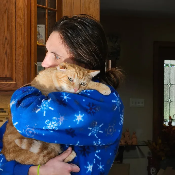 Veterinary Professional Cat Sitting