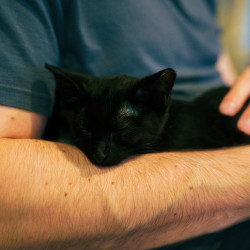 Photo #4